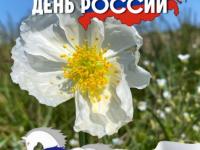 12 июня - День России