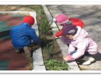 Экологические акции - активные формы работы по формированию экологического сознания дошкольников.