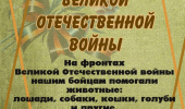 Животные-герои Великой Отечественной войны 